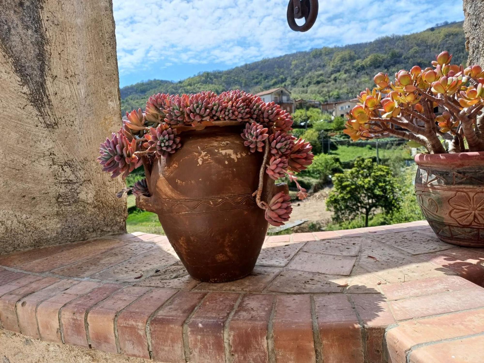 Country House B&B Antica Dimora Del Sole Камерота Екстериор снимка